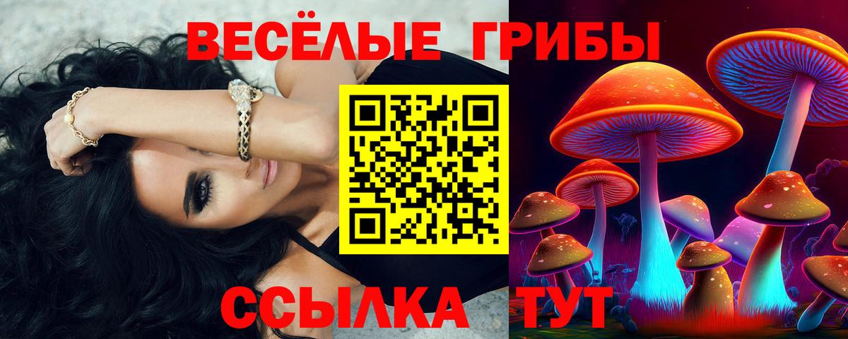 Псилоцибиновые грибы мицелий Самара